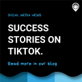 TikTok success stories