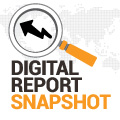 Digital 2019 Snapshot